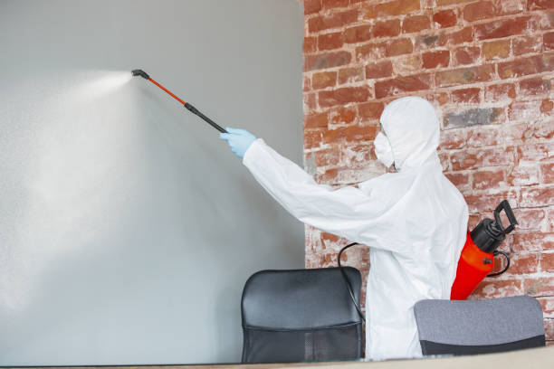 Batesville, AR Mold Removal Pros