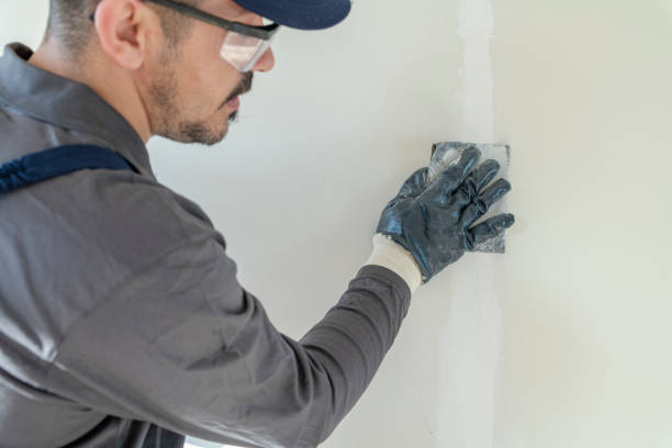 Best Mold Documentation for Insurance Claims  in Batesville, AR