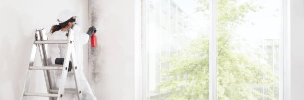 Best Residential Mold Inspection & Testing  in Batesville, AR