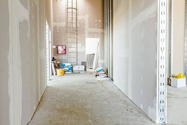 Best Forensic Mold Investigation  in Batesville, AR